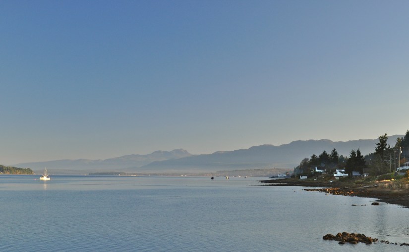 Got Questions? Me&nbsp;Too.